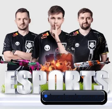 mk体育 APP 界面（mksports）